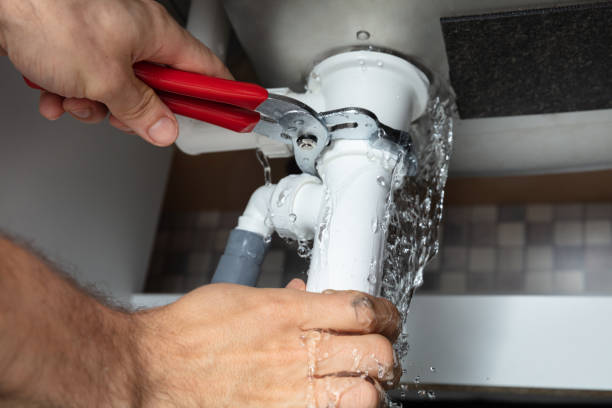 Best Water damage restoration mold remediation  in Rockwell City, IA