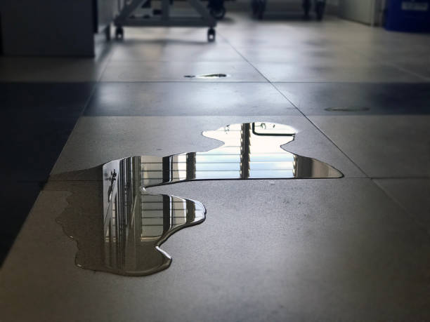 Best Water damage cleanup near me  in Rockwell City, IA