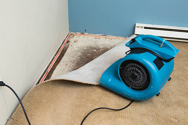 Best Residential water damage restoration  in Rockwell City, IA